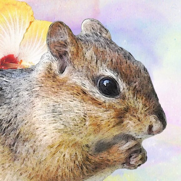 8x10 Chipmunk Eating Watercolor Illustration Art‎ Painting Print - Picture 6 of 6